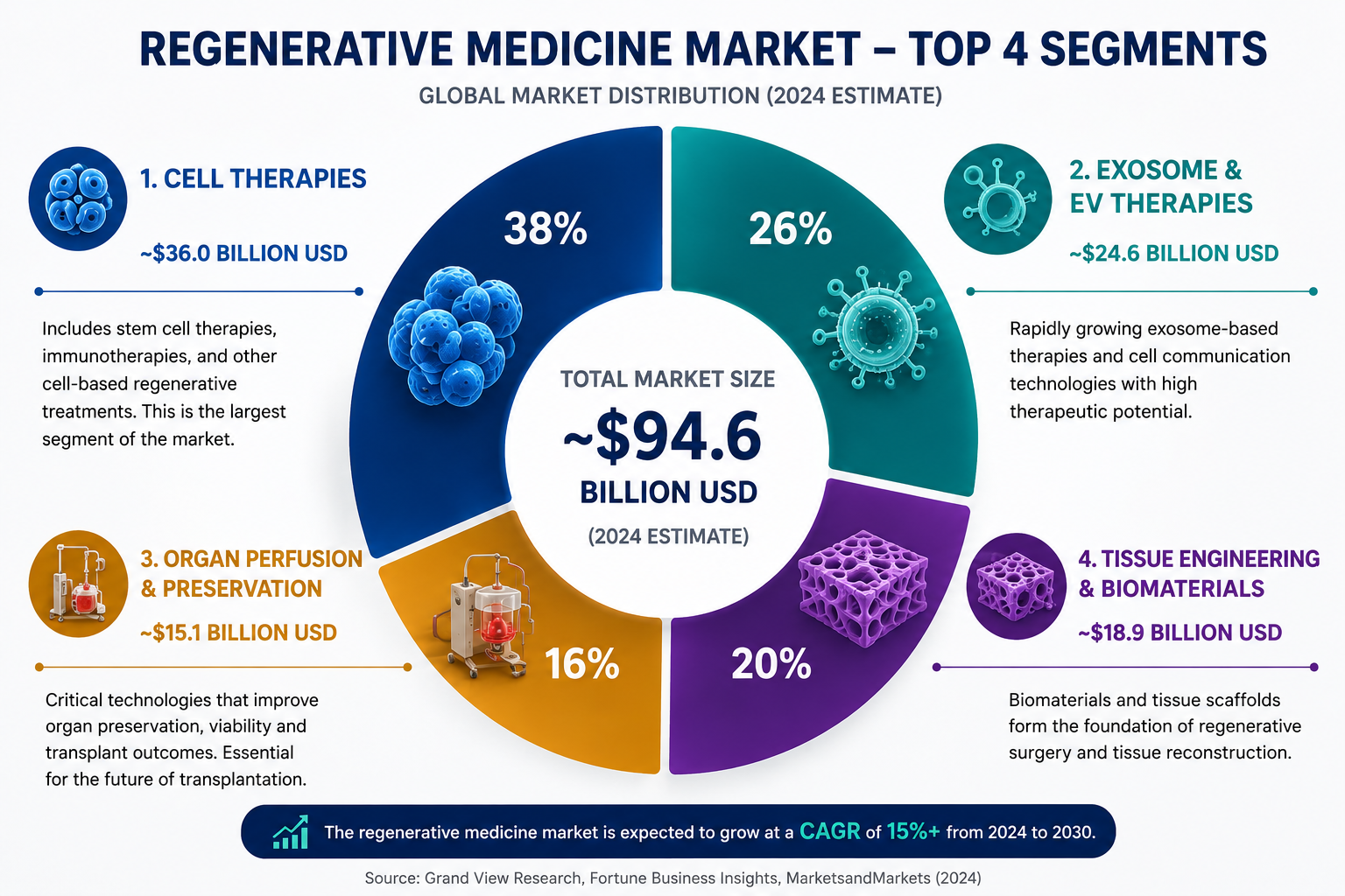 Regenerative Medicine Market – Top 4 Segments (2024 Estimate)