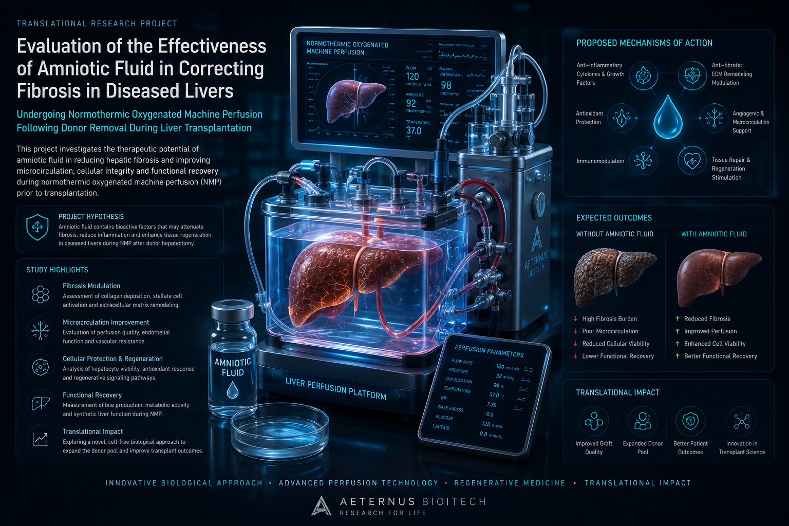 Translational research infographic — Evaluation of amniotic fluid in correcting fibrosis in diseased livers undergoing normothermic oxygenated machine perfusion, featuring liver perfusion platform, proposed mechanisms of action, expected outcomes and translational impact.